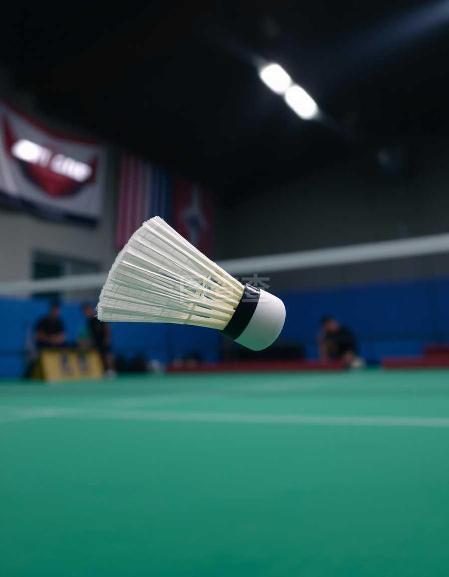 续财报中看 续财报中看